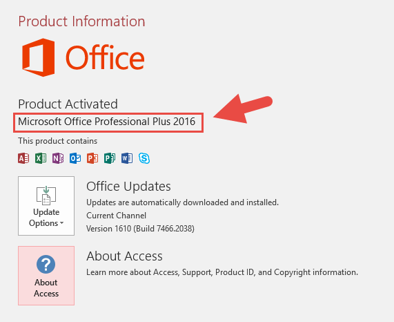 Access Professional Plus 2016