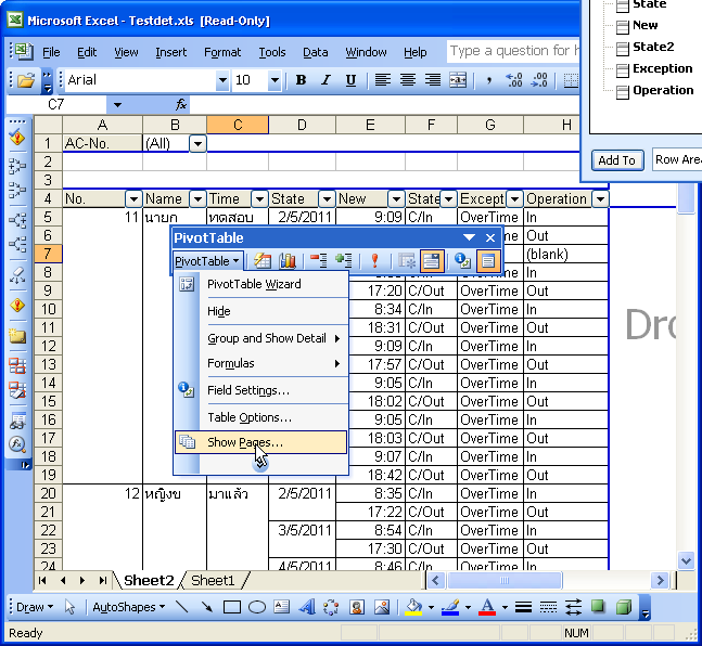 PivotTableShowPages.png